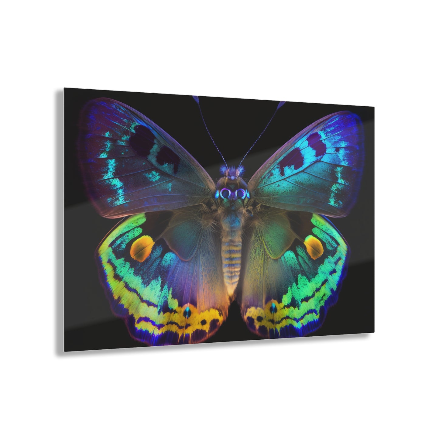 Acrylic Prints Neon Hue Butterfly 4