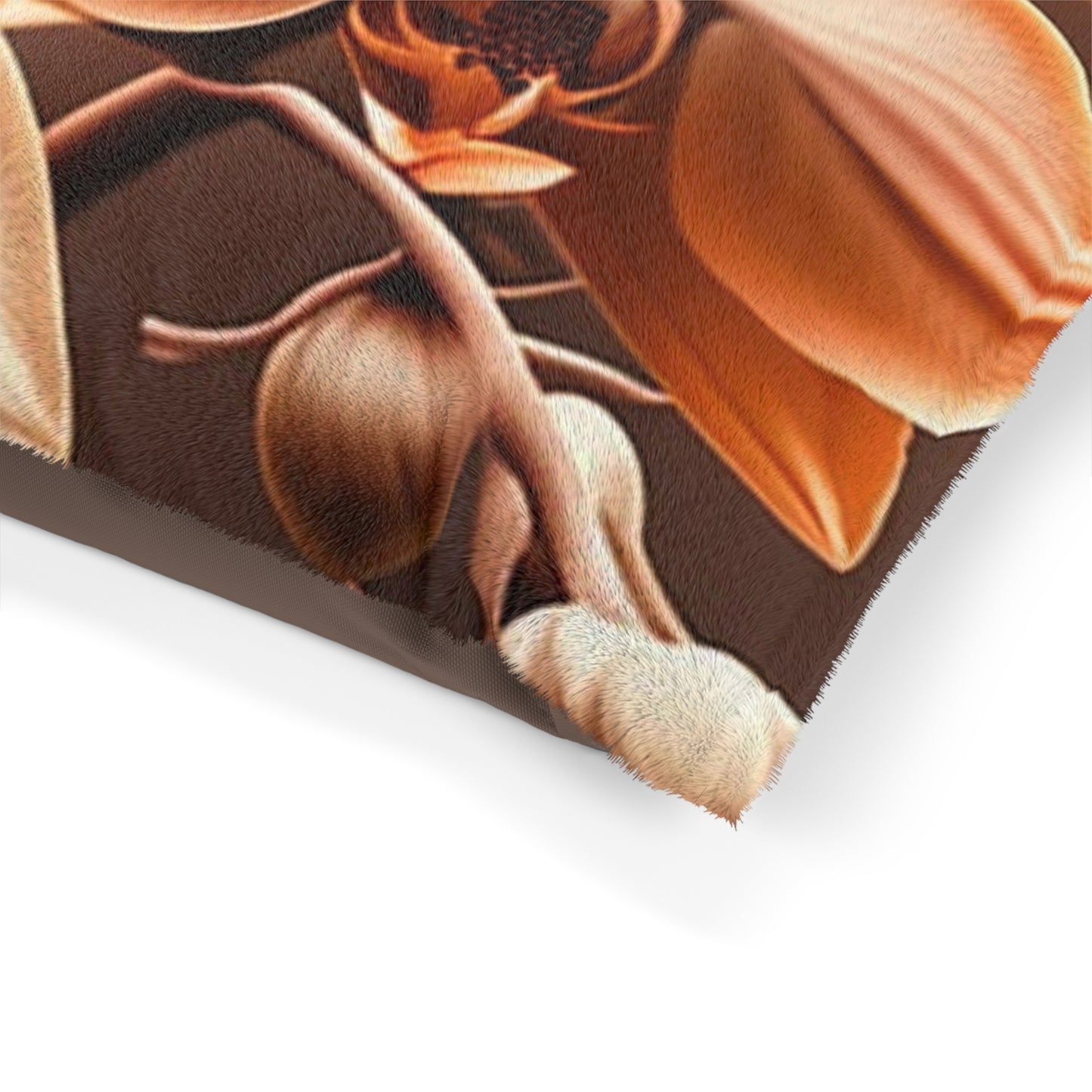 Pet Bed orchid pedals 3