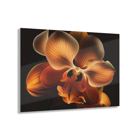 Acrylic Prints Orange Orchid 2