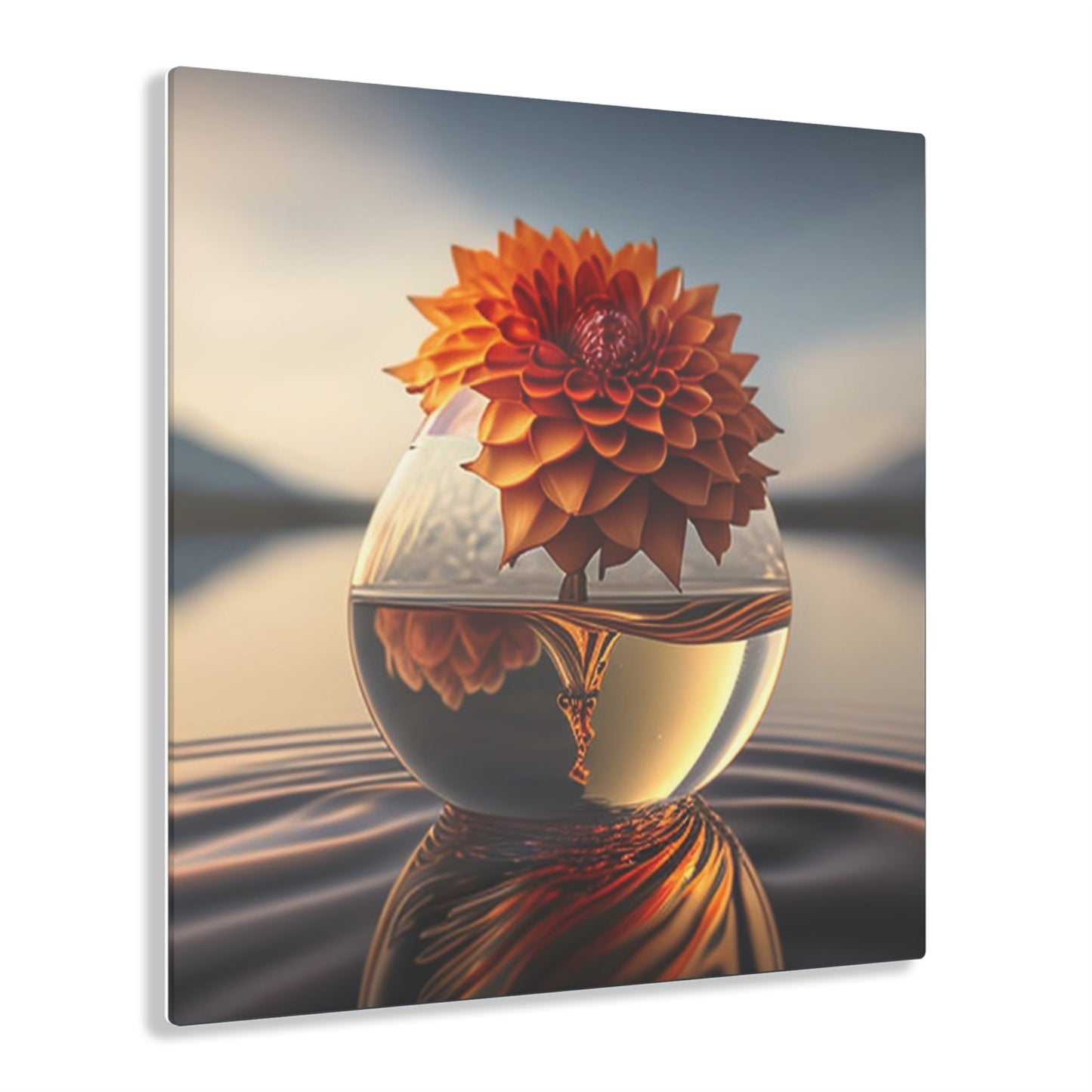 Acrylic Prints Dahlia Orange 1