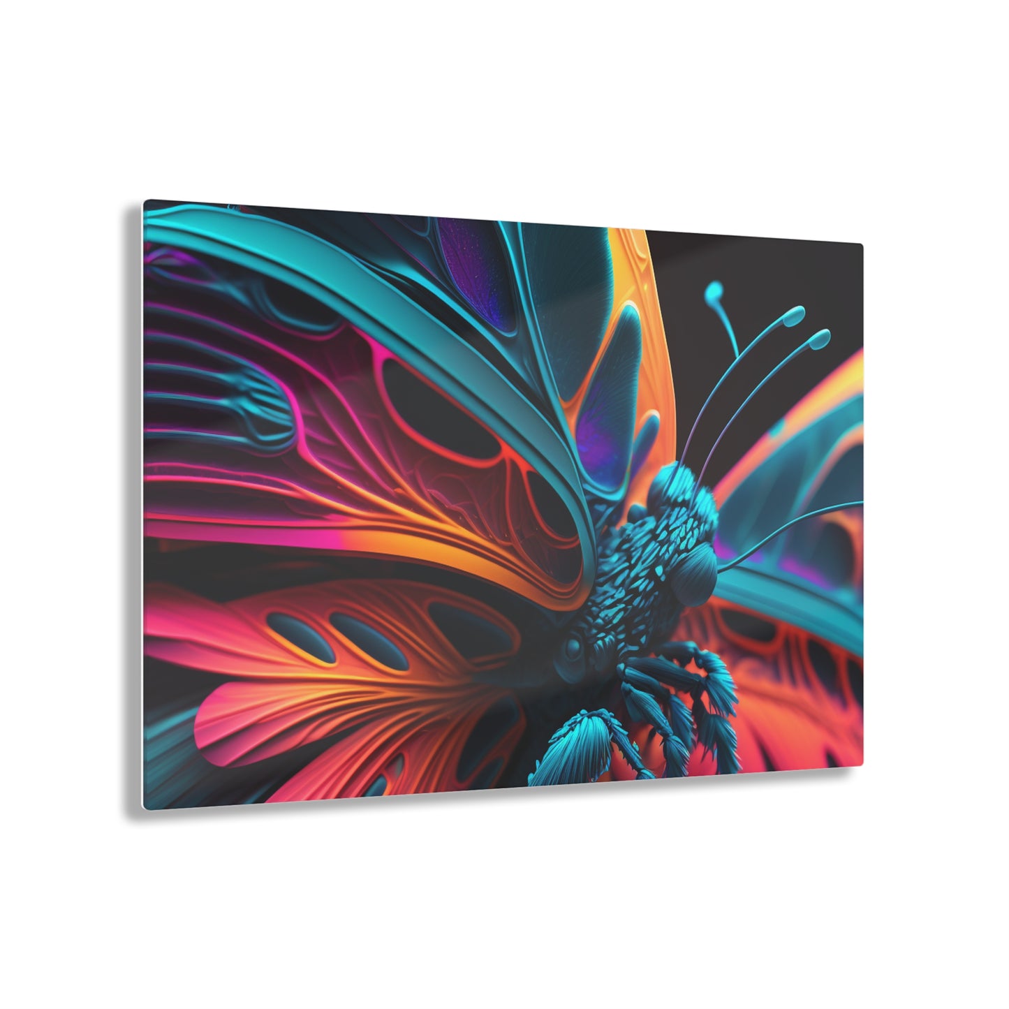 Acrylic Prints Neon Butterfly Macro 4