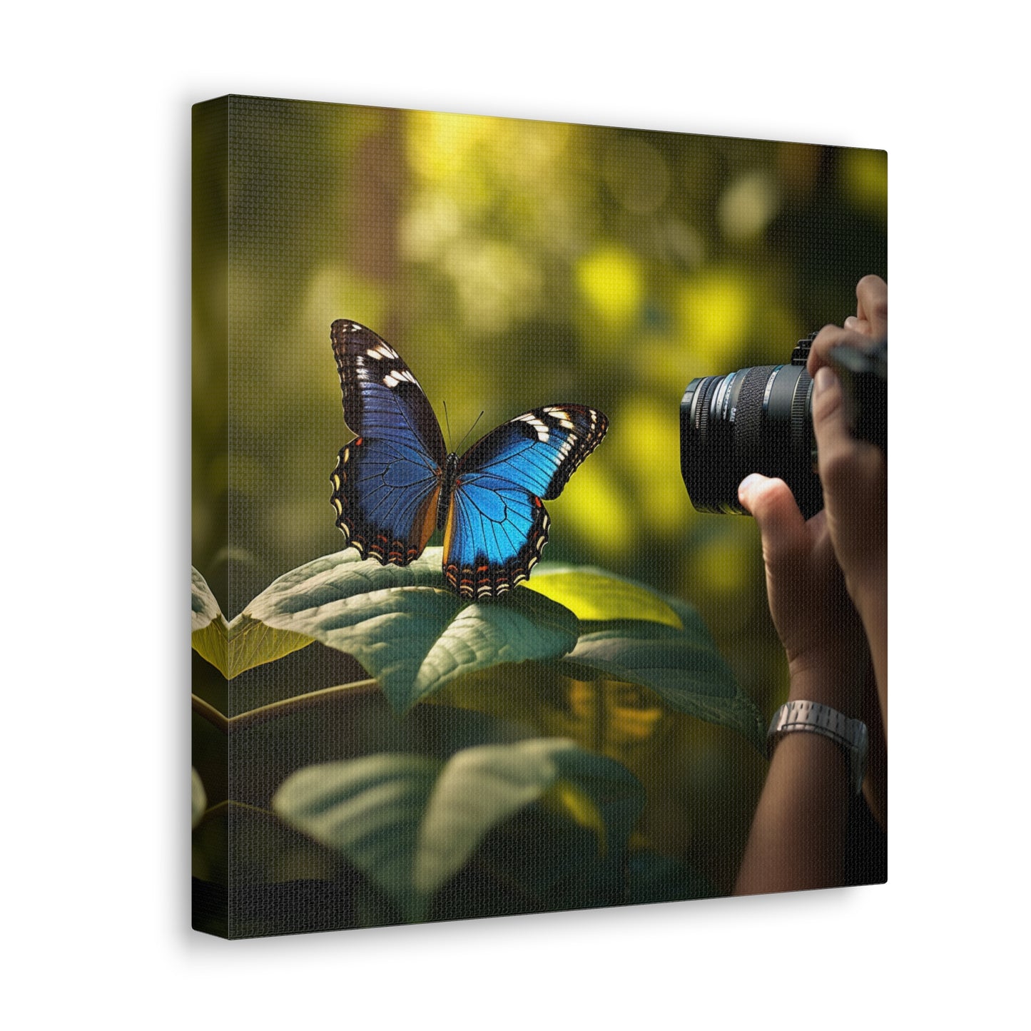 Canvas Gallery Wraps Jungle Butterfly 3