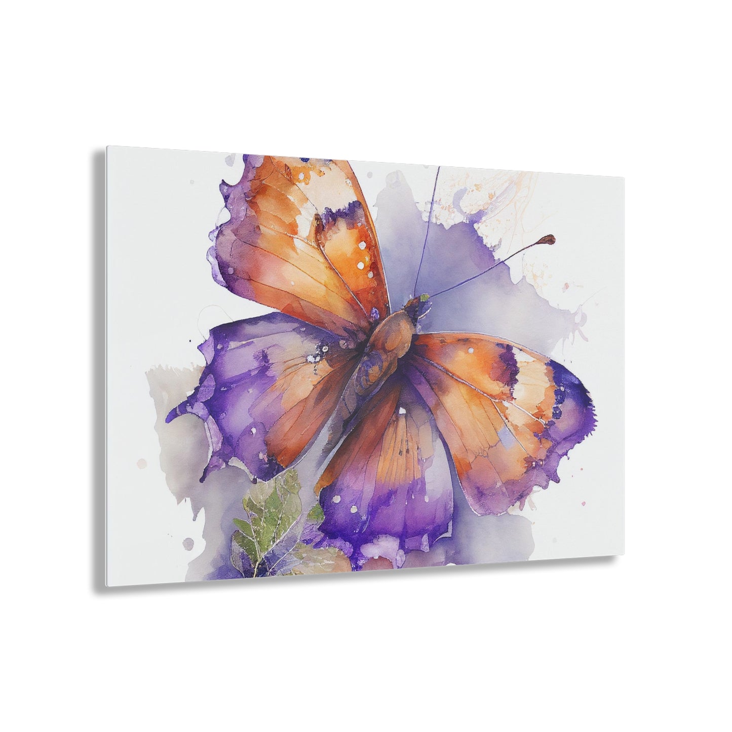 Acrylic Prints MerlinRose Watercolor Butterfly 2