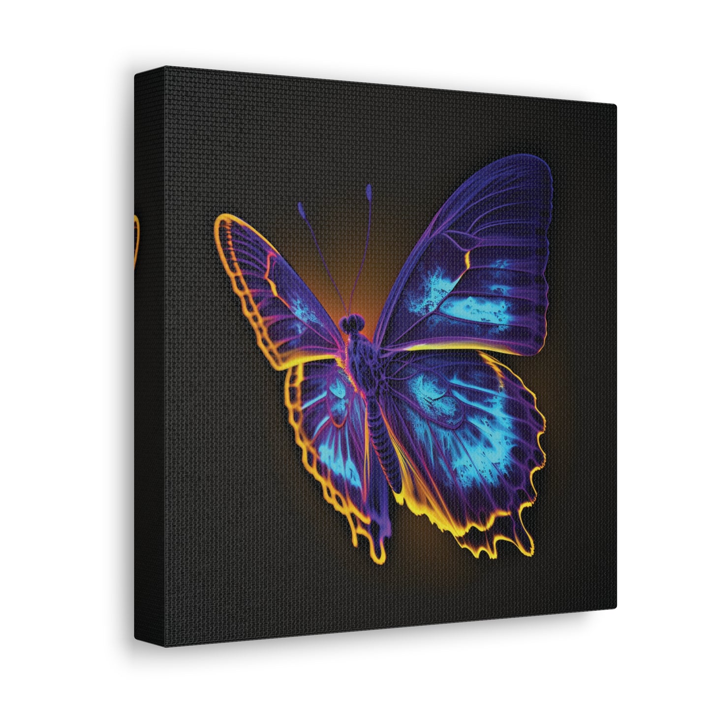 Canvas Gallery Wraps Thermal Butterfly 4