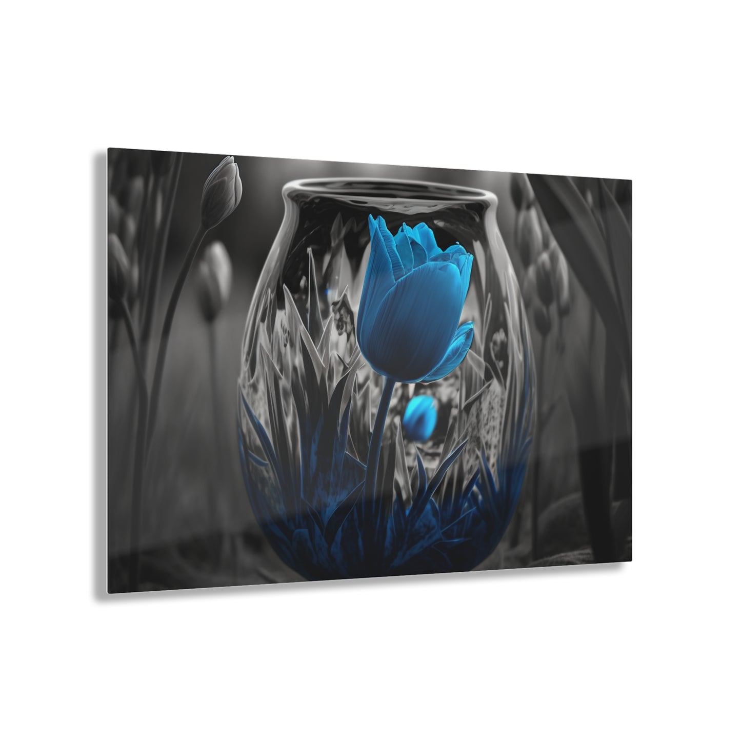 Acrylic Prints Tulip Blue 6