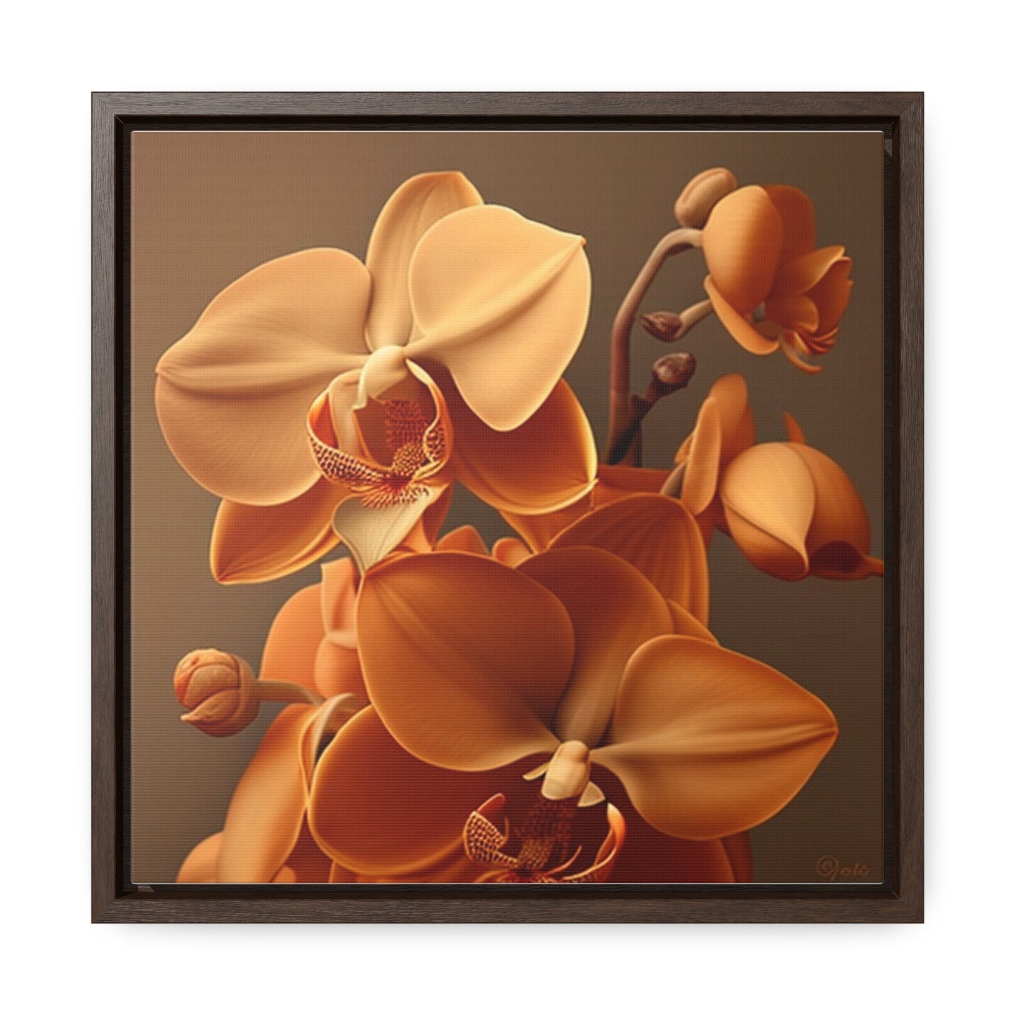 Gallery Canvas Wraps, Square Frame orchid pedals 4