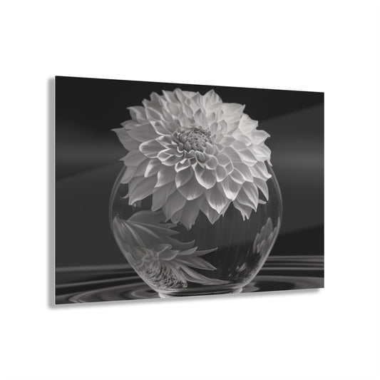 Acrylic Prints White Dahlia 1