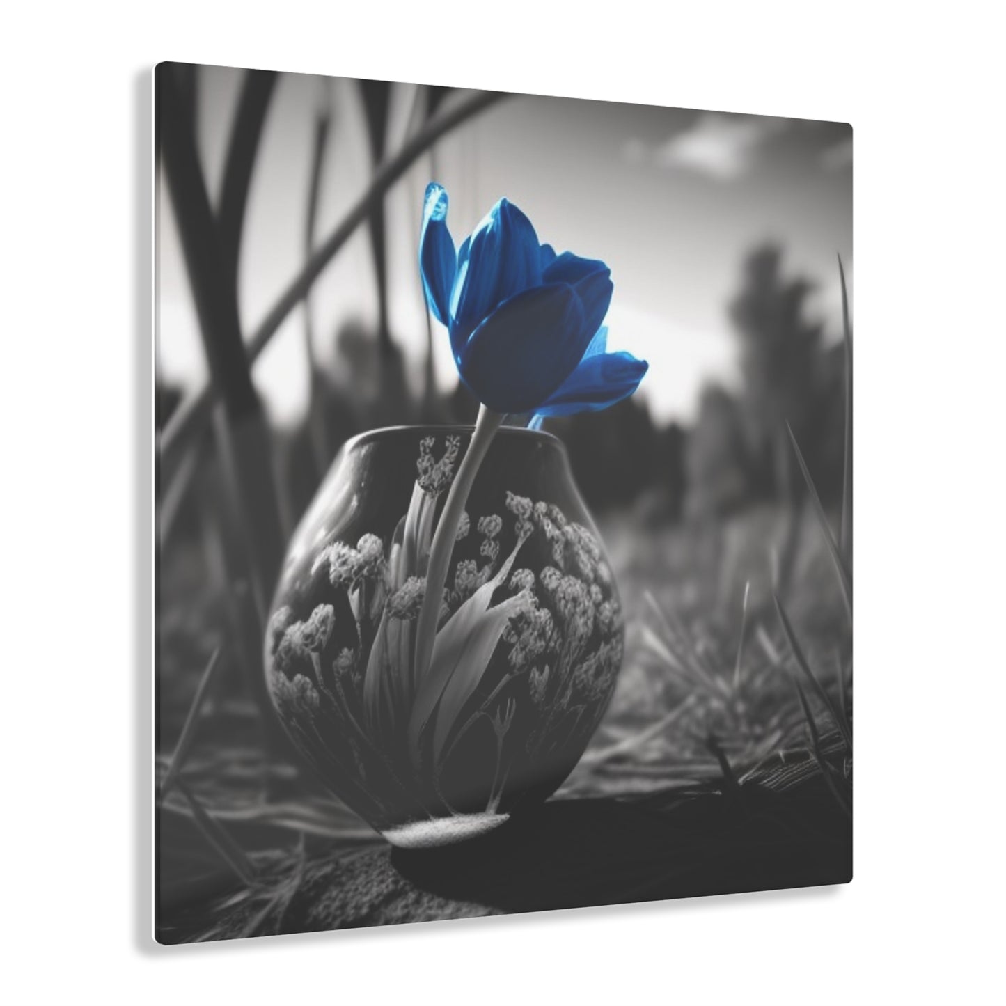 Acrylic Prints Tulip 3