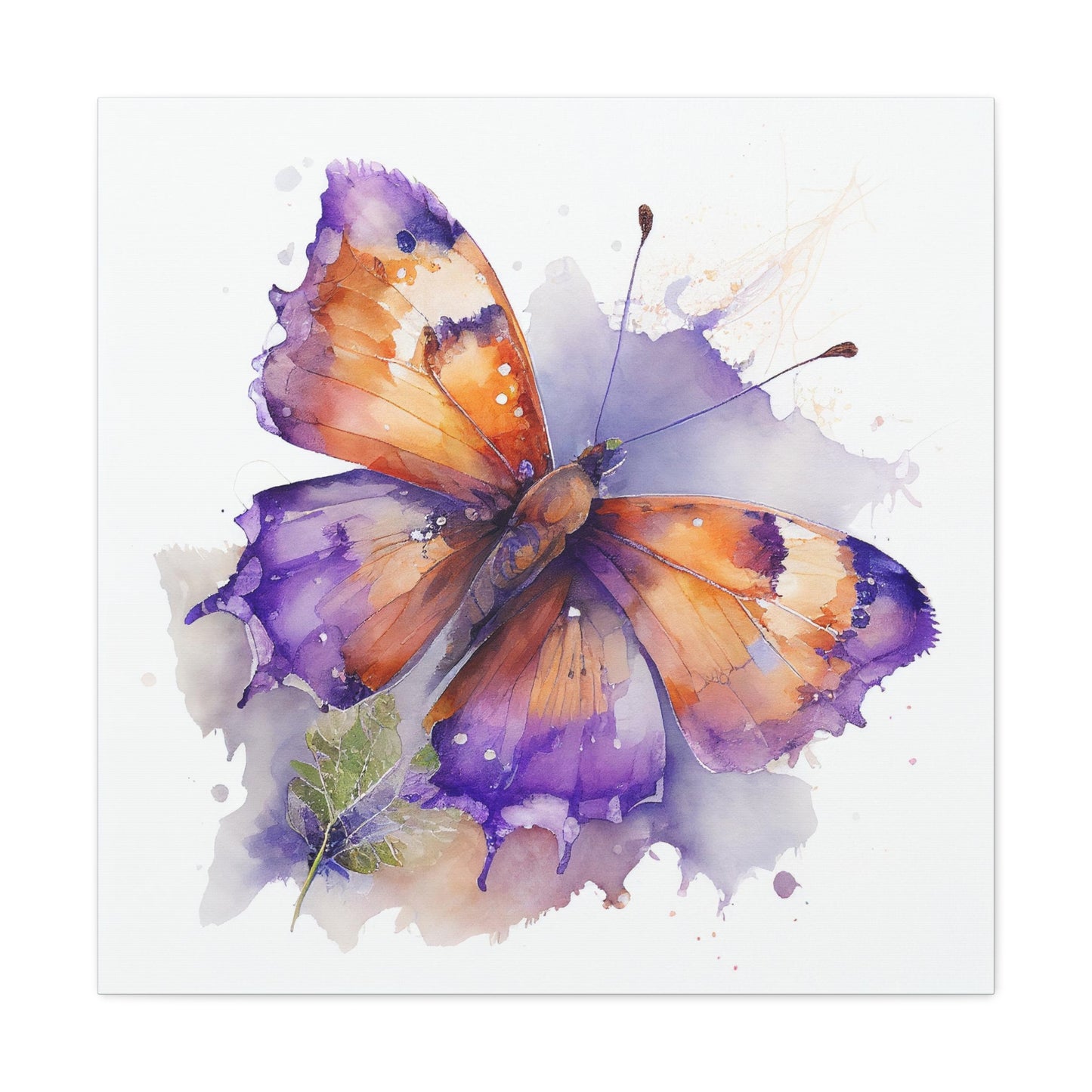 Canvas Gallery Wraps MerlinRose Watercolor Butterfly 2