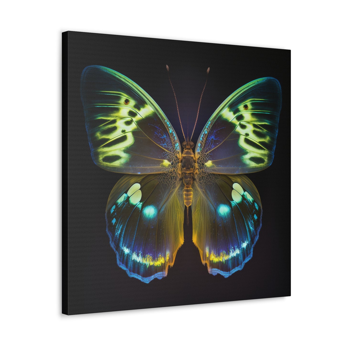 Canvas Gallery Wraps Neon Hue Butterfly 1