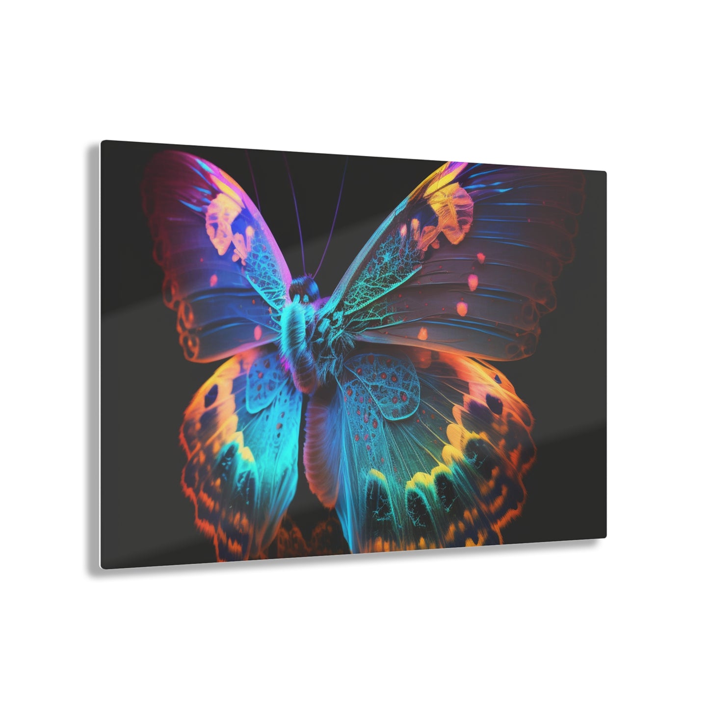 Acrylic Prints Raw Hyper Color Butterfly 4