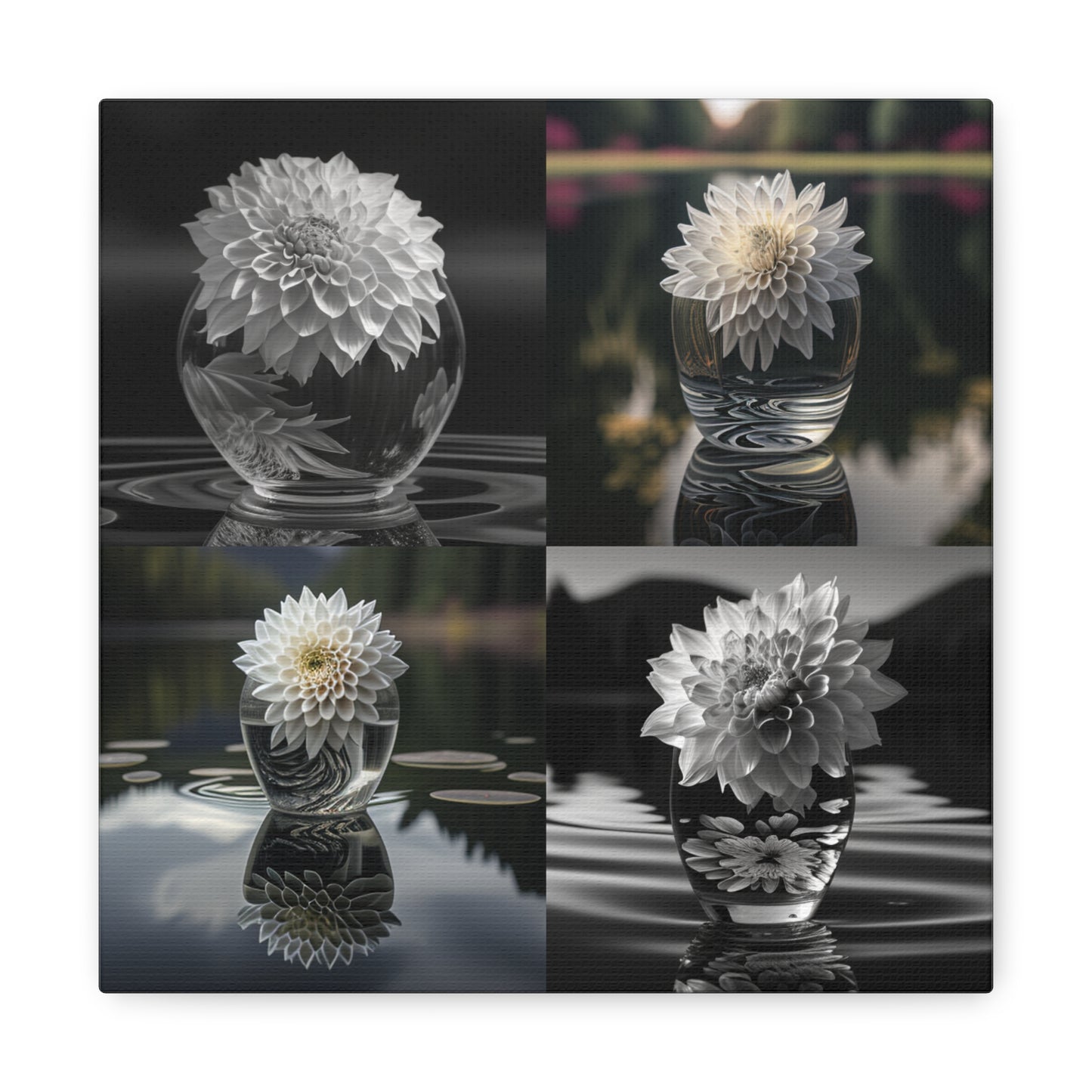 Canvas Gallery Wraps White Dahlia 5