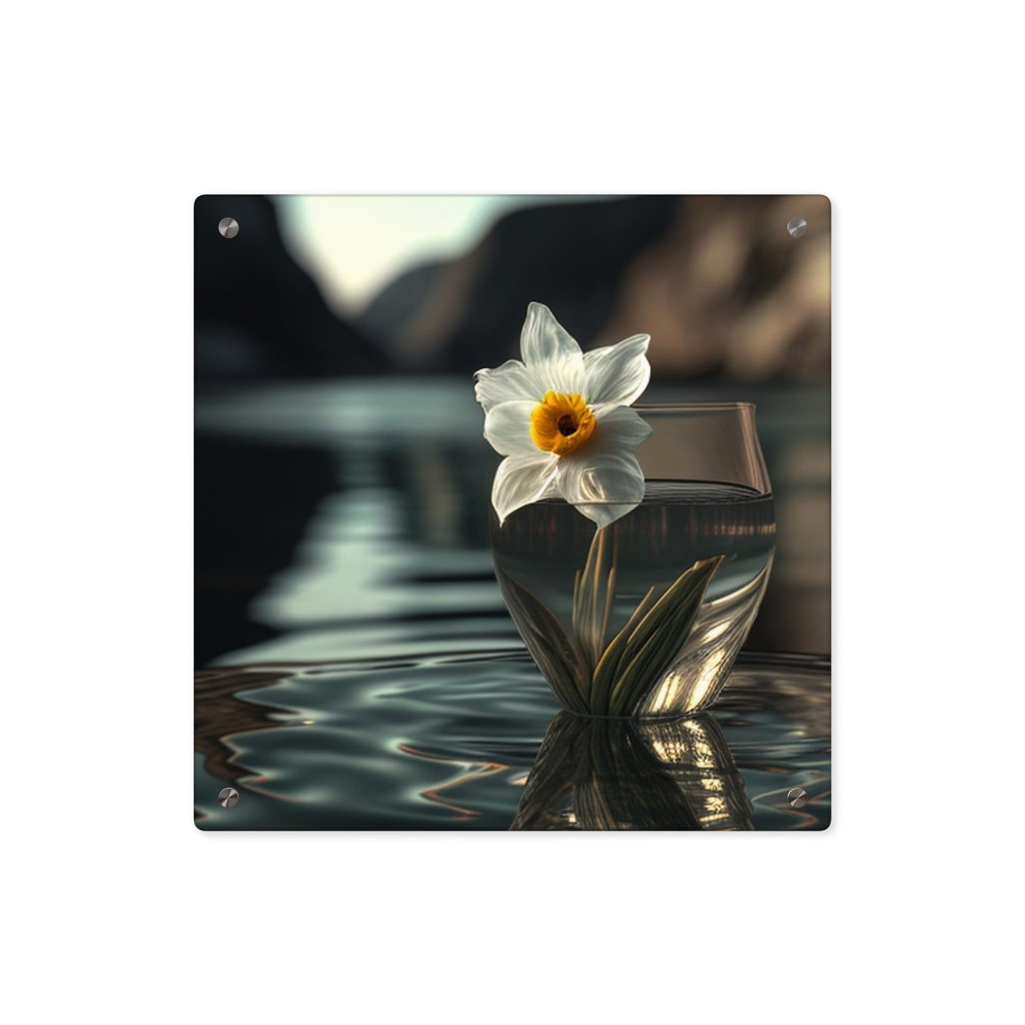 Acrylic Wall Art Panels Daffodil 2