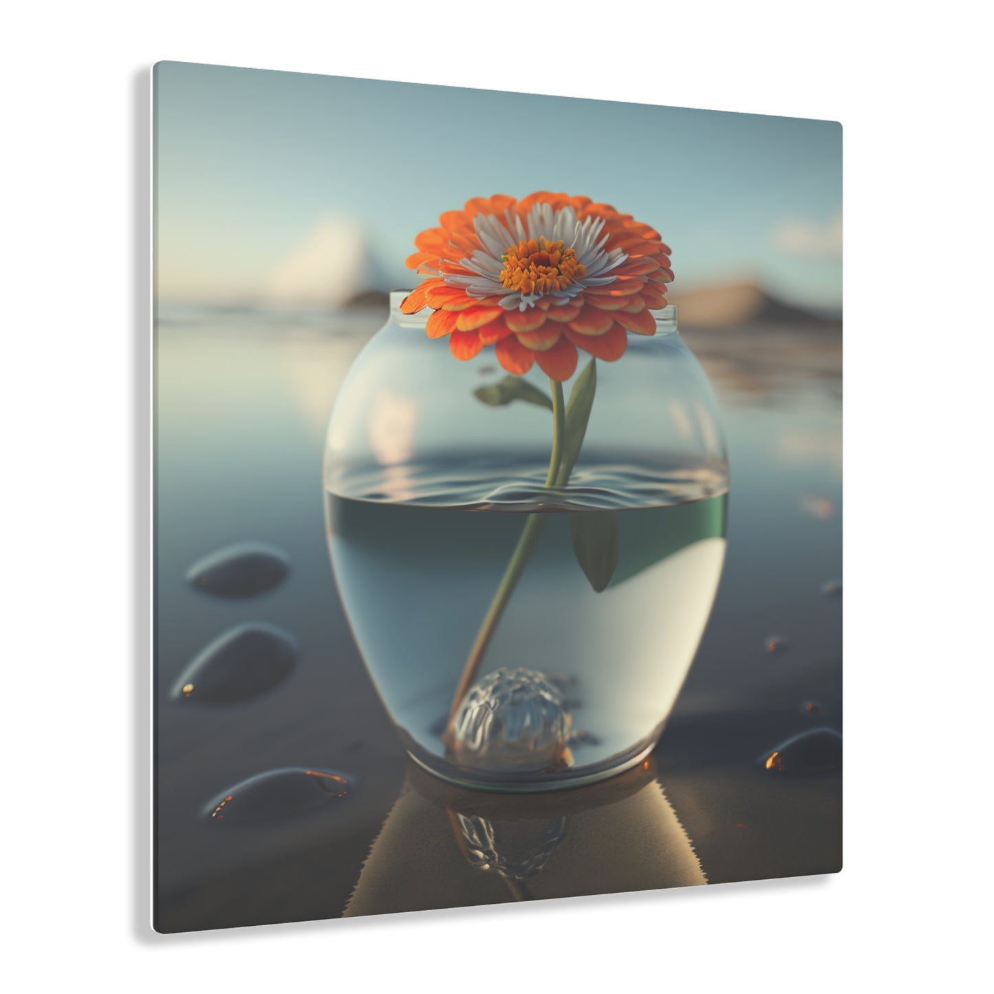 Acrylic Prints Orange Zinnia 3