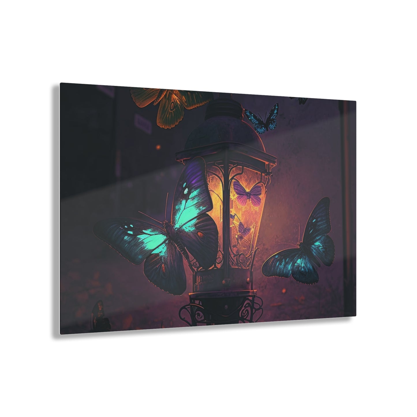 Acrylic Prints Street Light Butterfly 4