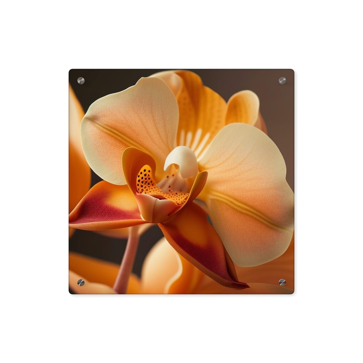 Acrylic Wall Art Panels Orange Orchid 3