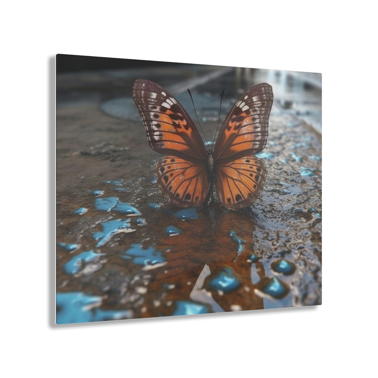 Acrylic Prints Water Butterfly Street 2