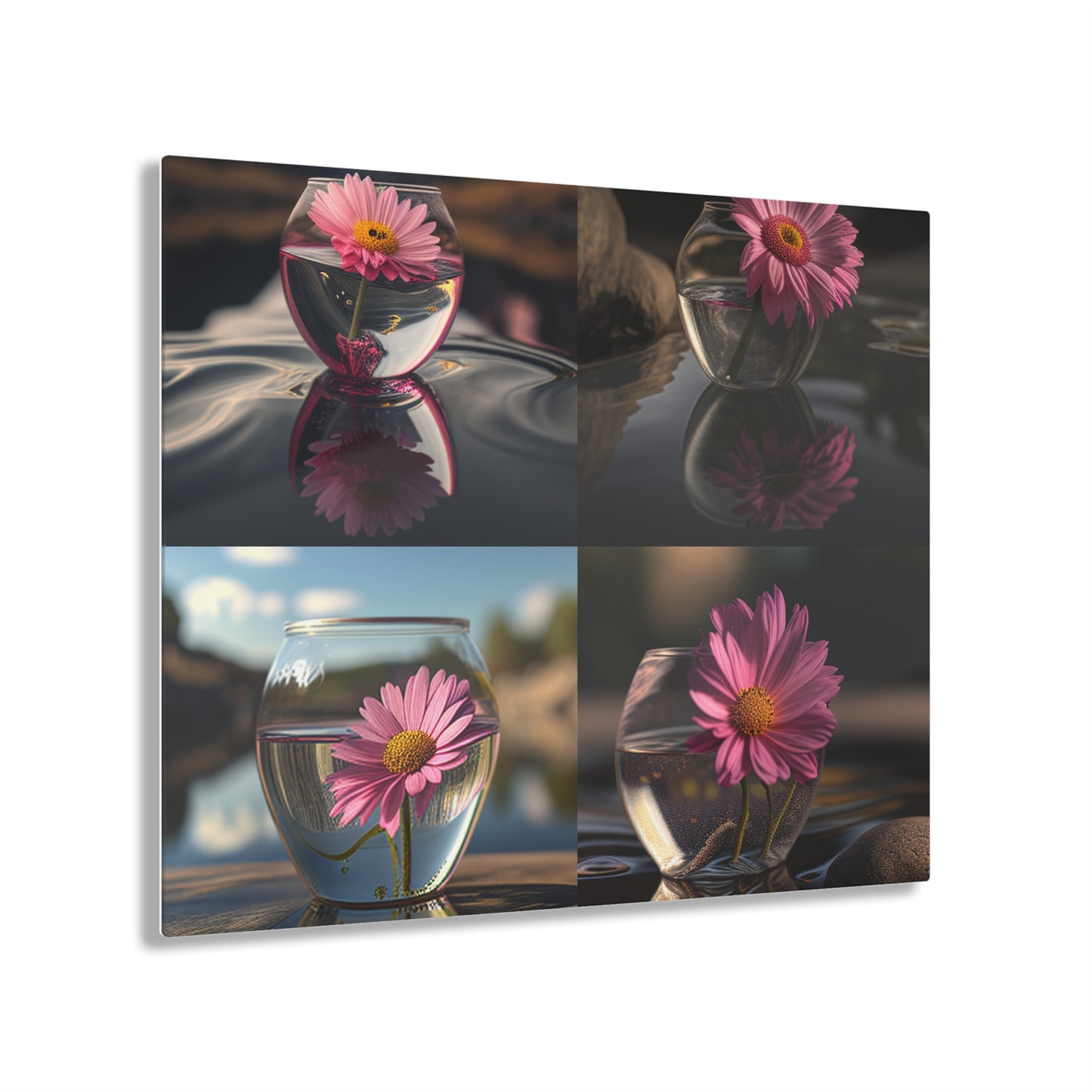 Acrylic Prints Pink Daisy 5