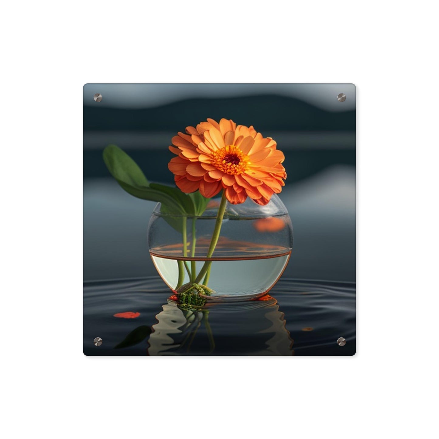 Acrylic Wall Art Panels Orange Zinnia 2