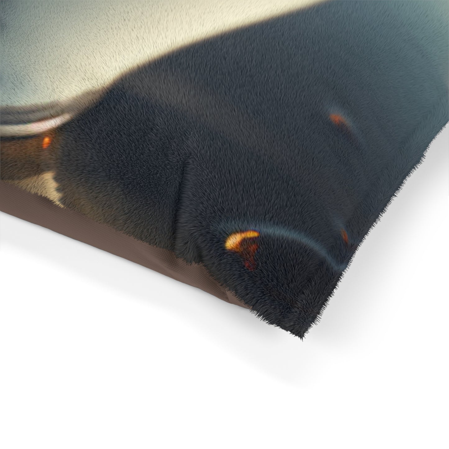 Pet Bed Orange Zinnia 3