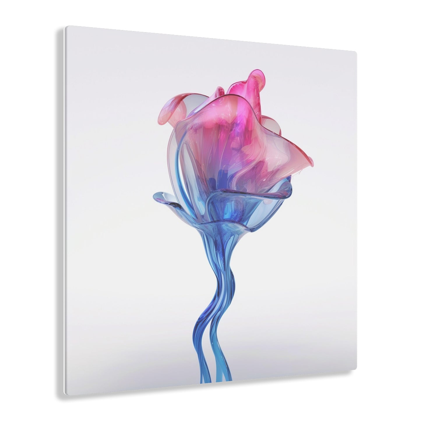 Acrylic Prints Pink & Blue Tulip Rose 4