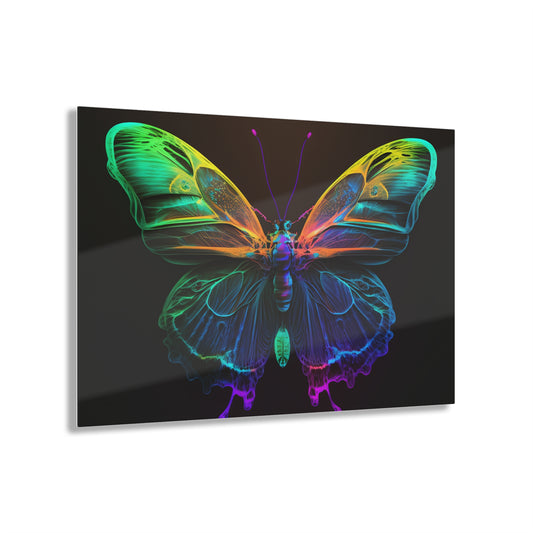 Acrylic Prints Raw Hyper Color Butterfly 3