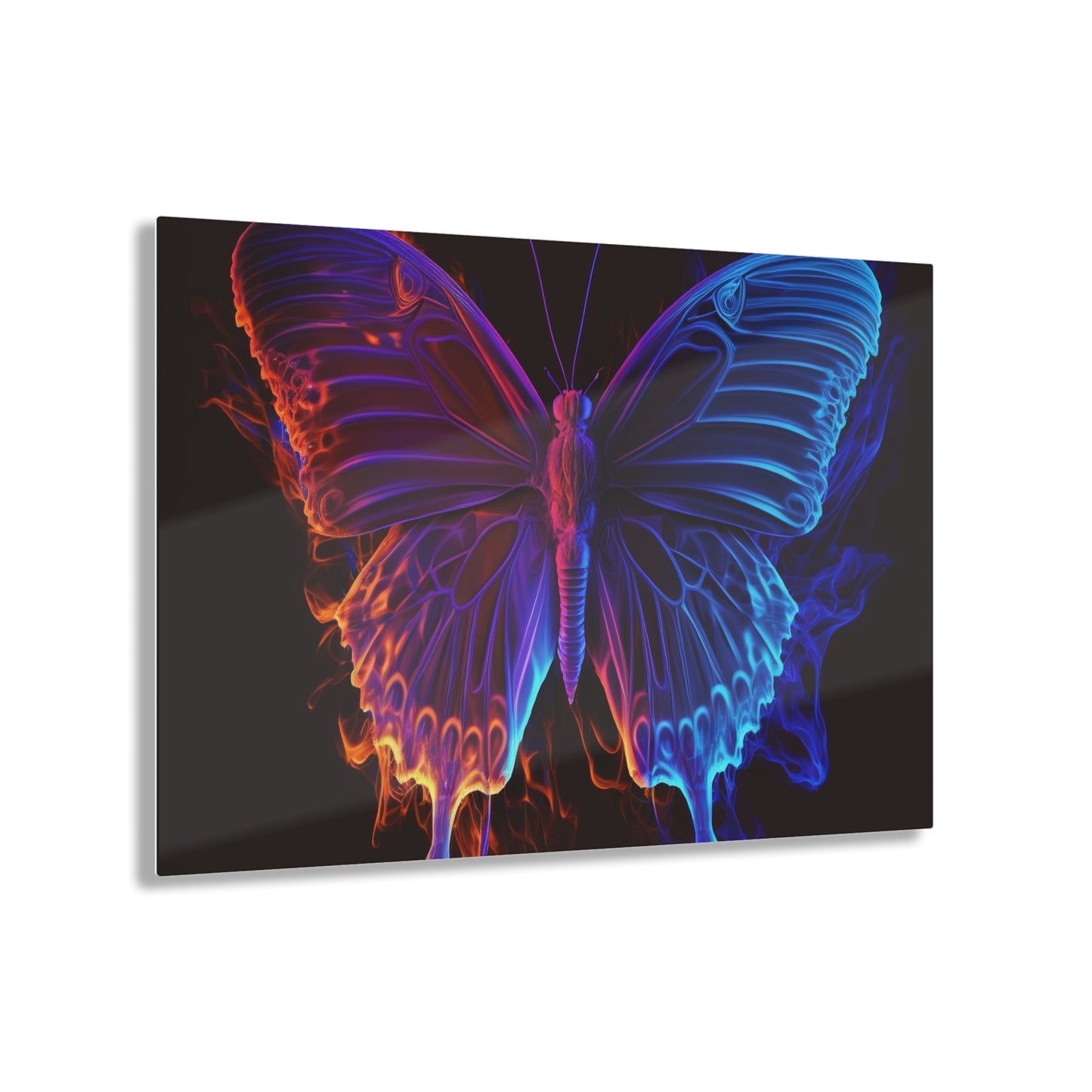 Acrylic Prints Thermal Butterfly 1