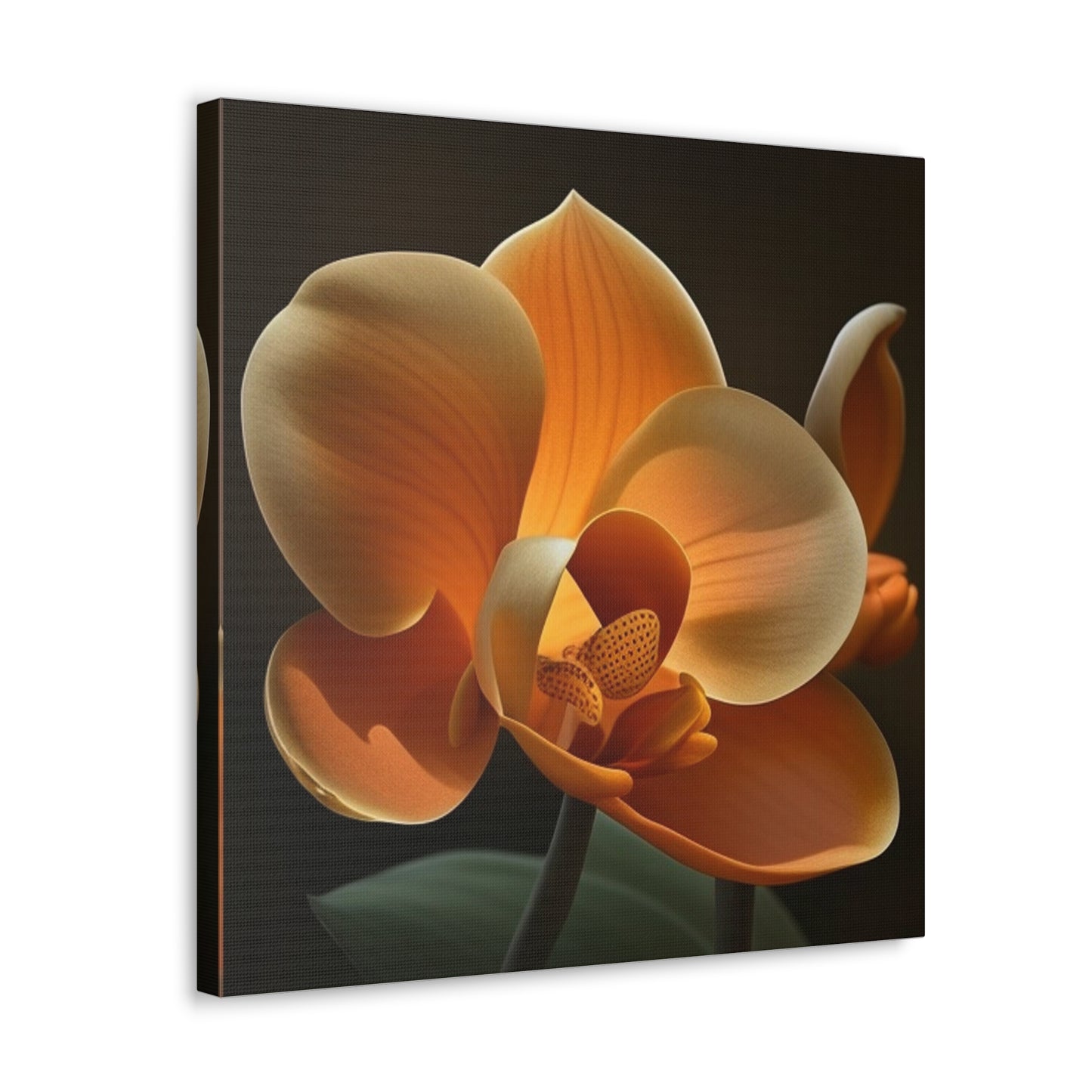 Canvas Gallery Wraps Orange Orchid 4