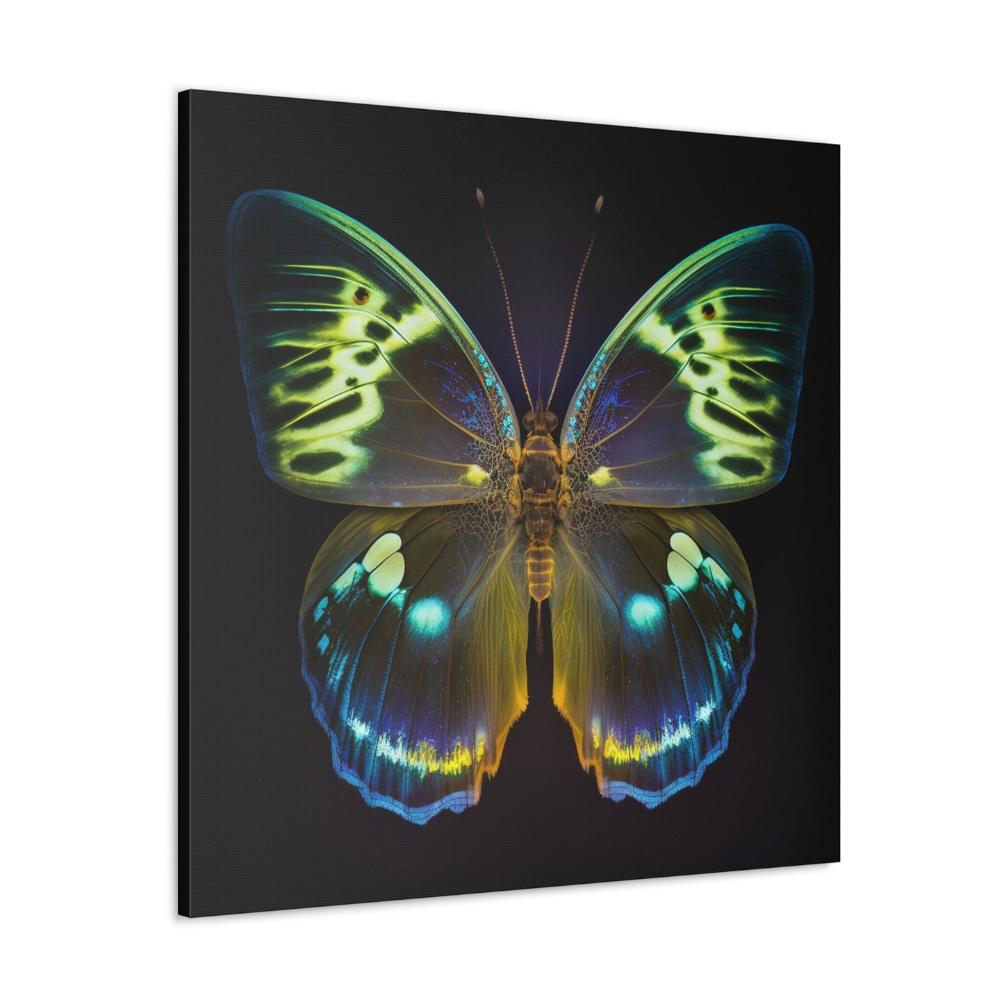 Canvas Gallery Wraps Neon Hue Butterfly 1