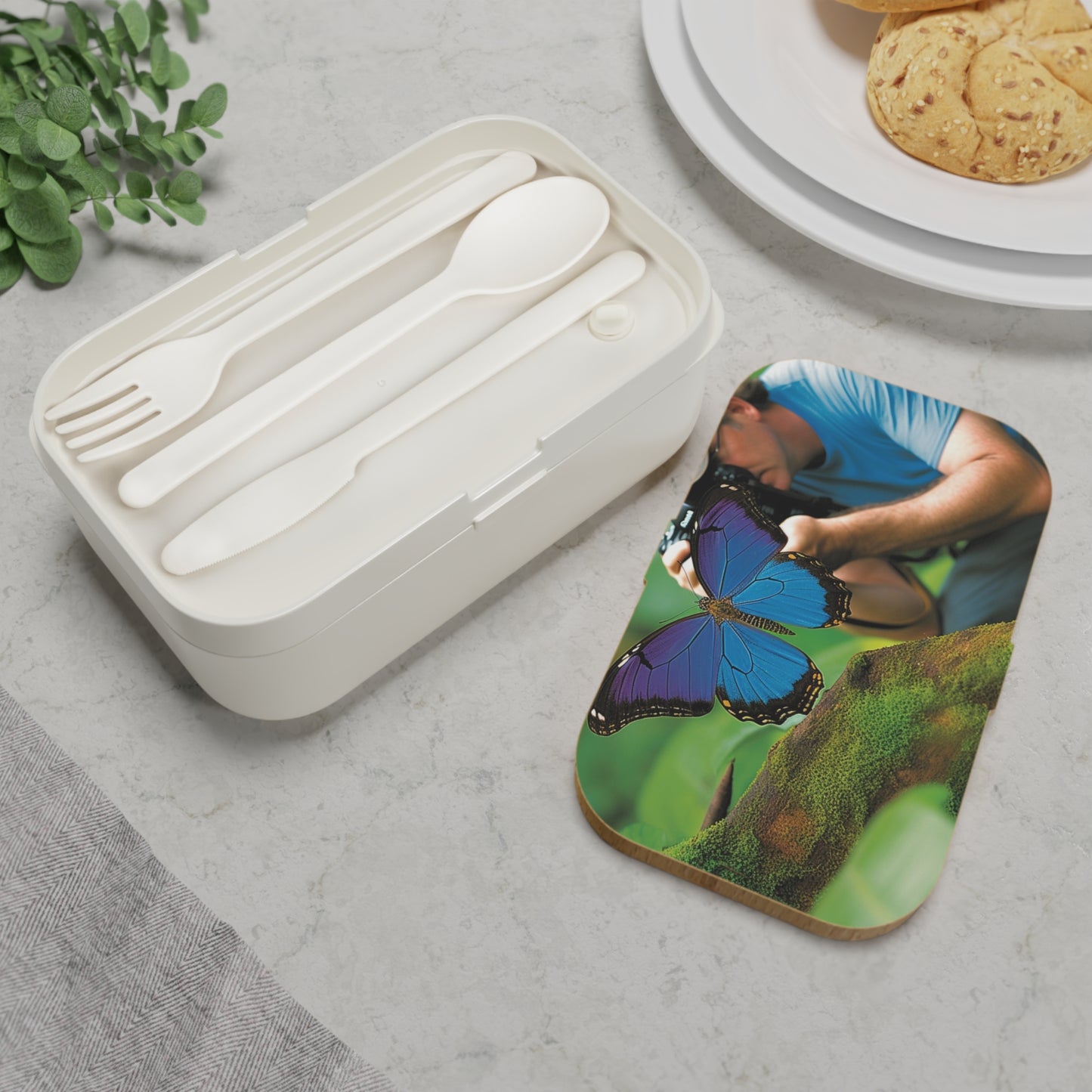 Bento Lunch Box Jungle Butterfly 4