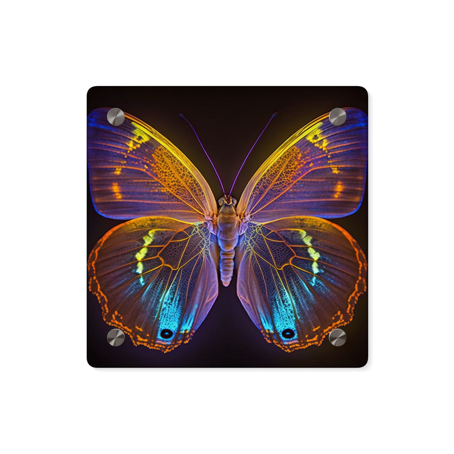 Acrylic Wall Art Panels Neon Butterfly Flair 2