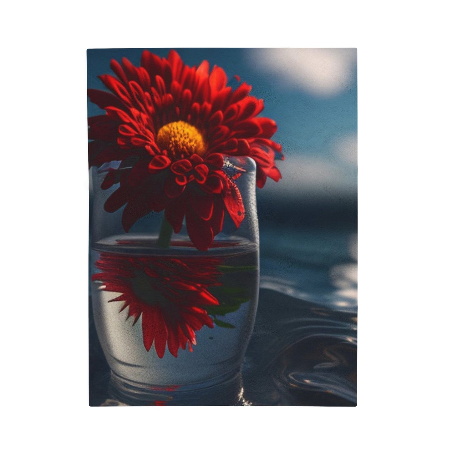 Velveteen Plush Blanket Chrysanthemum 3