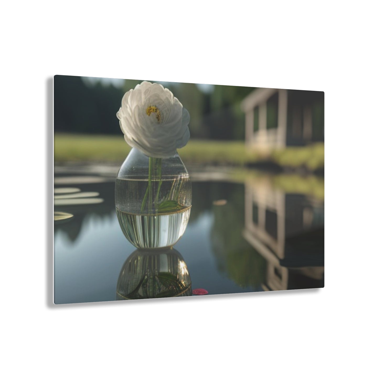 Acrylic Prints White Peony glass vase 1