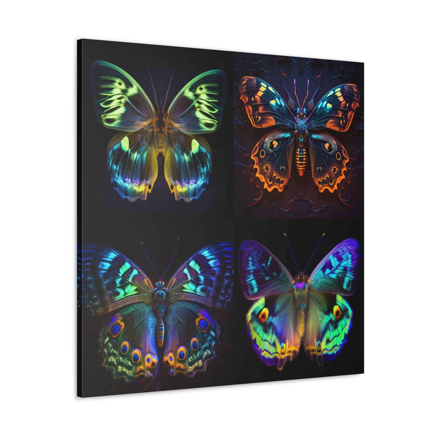 Canvas Gallery Wraps Neon Hue Butterfly 5