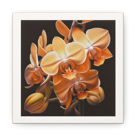 Canvas Gallery Wraps orchid pedals 1