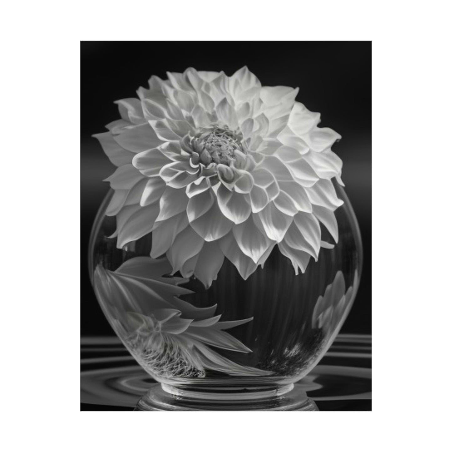 Premium Matte Vertical Posters White Dahlia 1