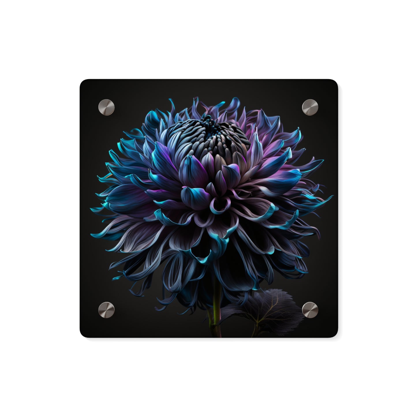 Acrylic Wall Art Panels Dahlia Purple 3