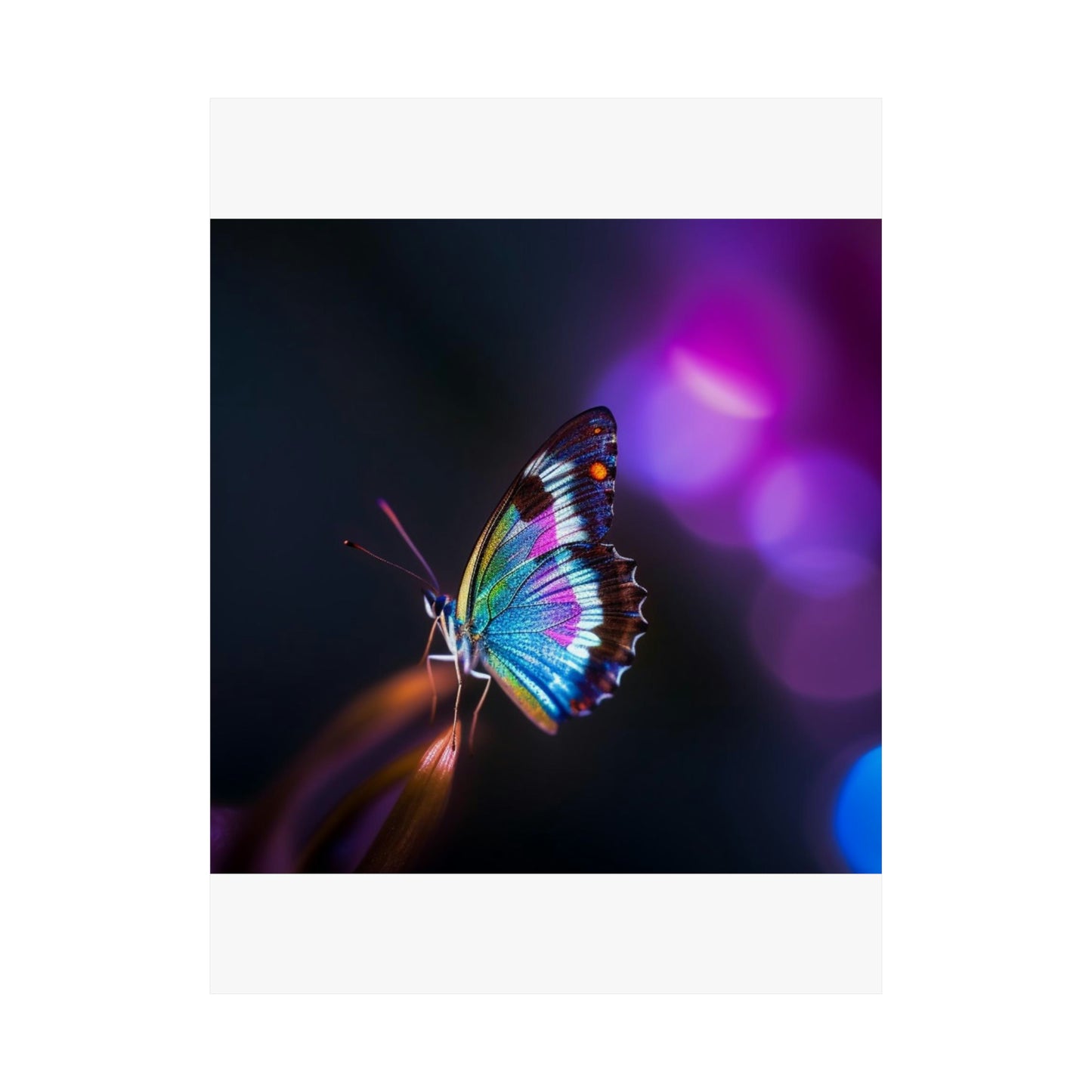 Premium Matte Vertical Posters Photo Realistic Butterfly 1