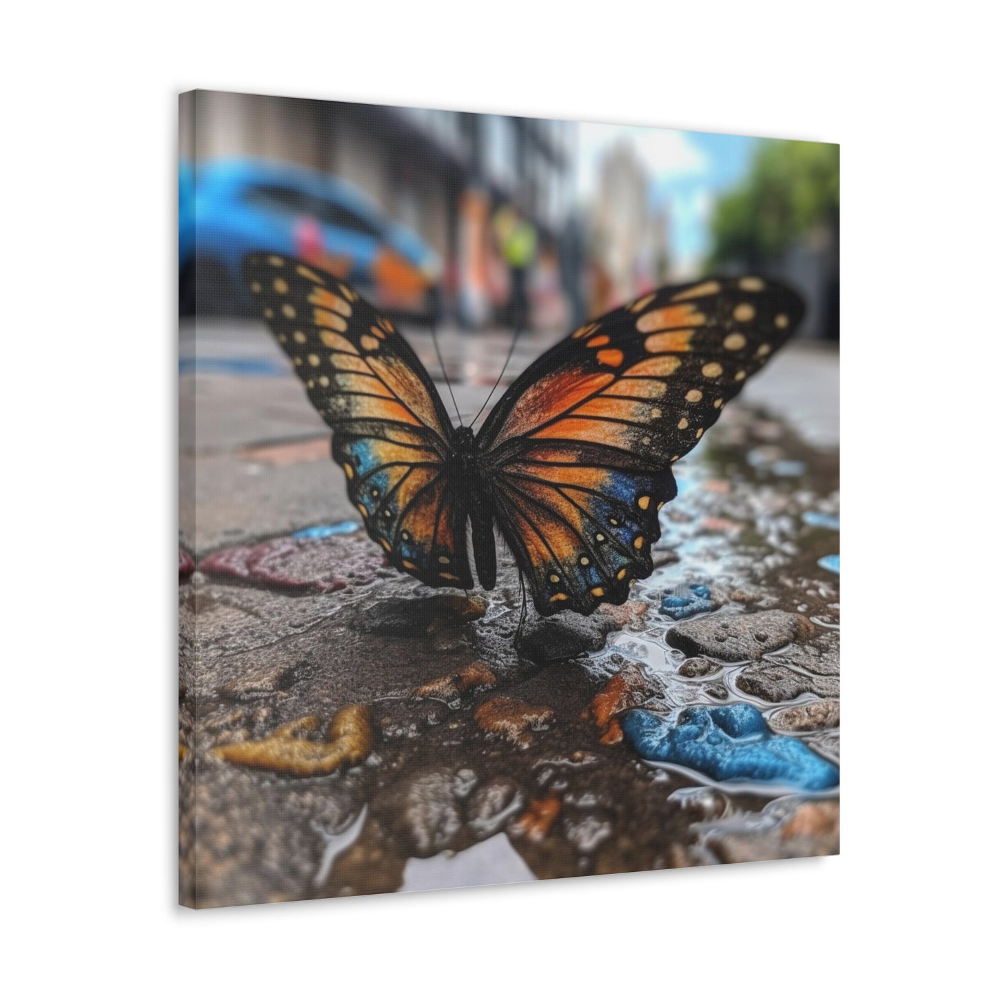 Canvas Gallery Wraps Water Butterfly Street 4