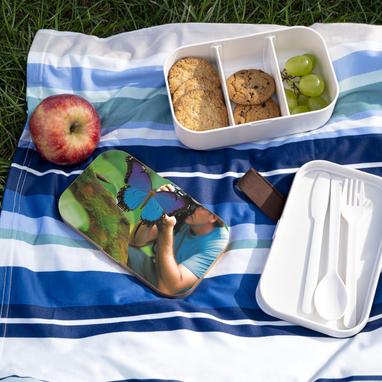 Bento Lunch Box Jungle Butterfly 4