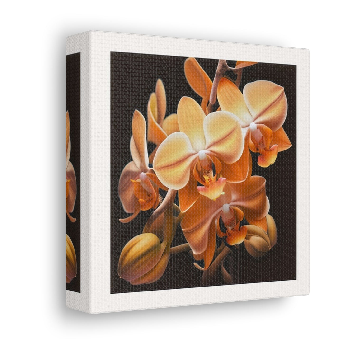 Canvas Gallery Wraps orchid pedals 1