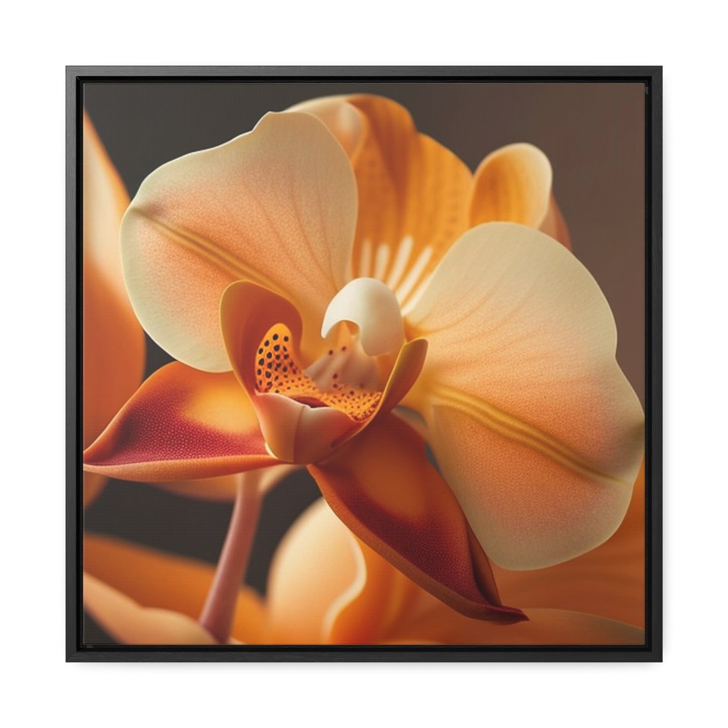 Gallery Canvas Wraps, Square Frame Orange Orchid 3