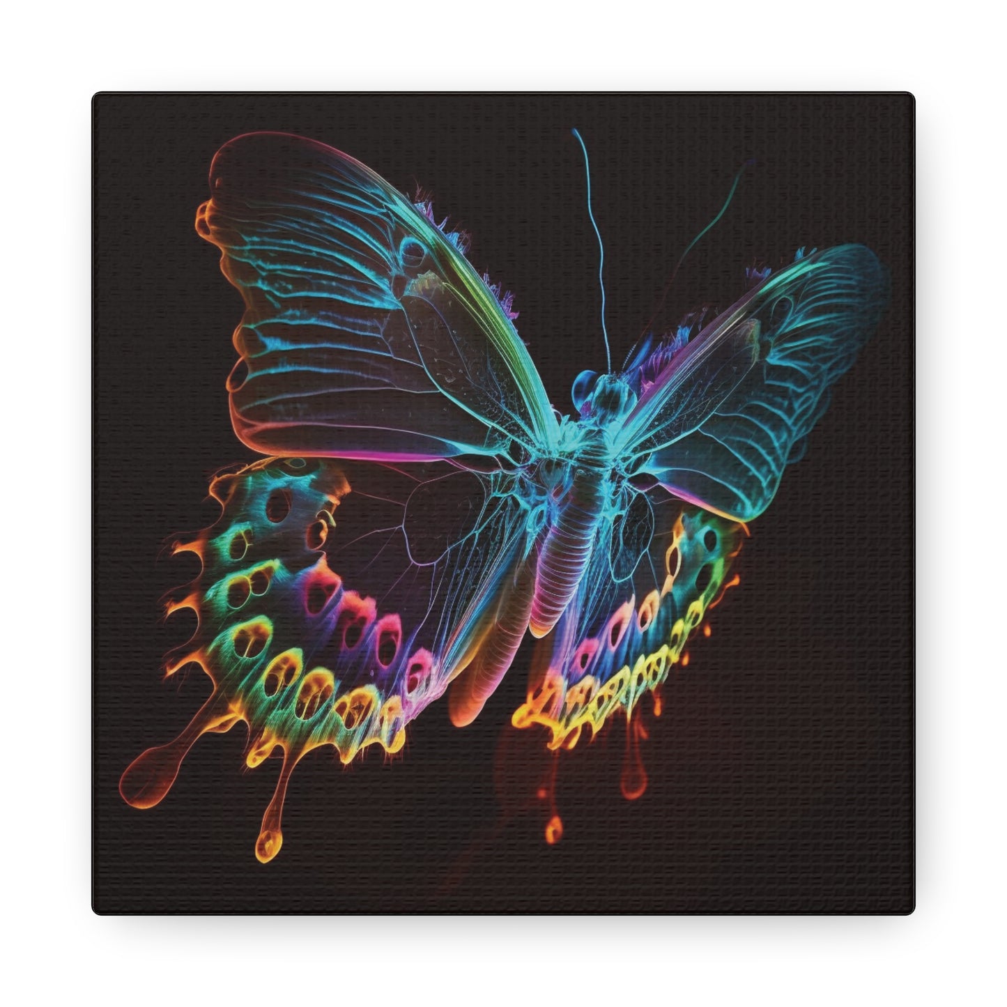 Canvas Gallery Wraps Thermal Butterfly 2