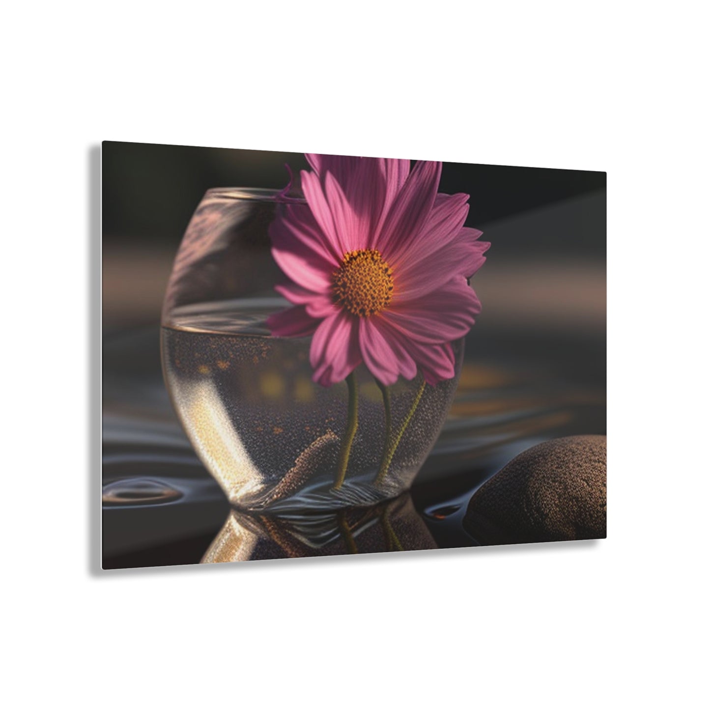 Acrylic Prints Pink Daisy 4