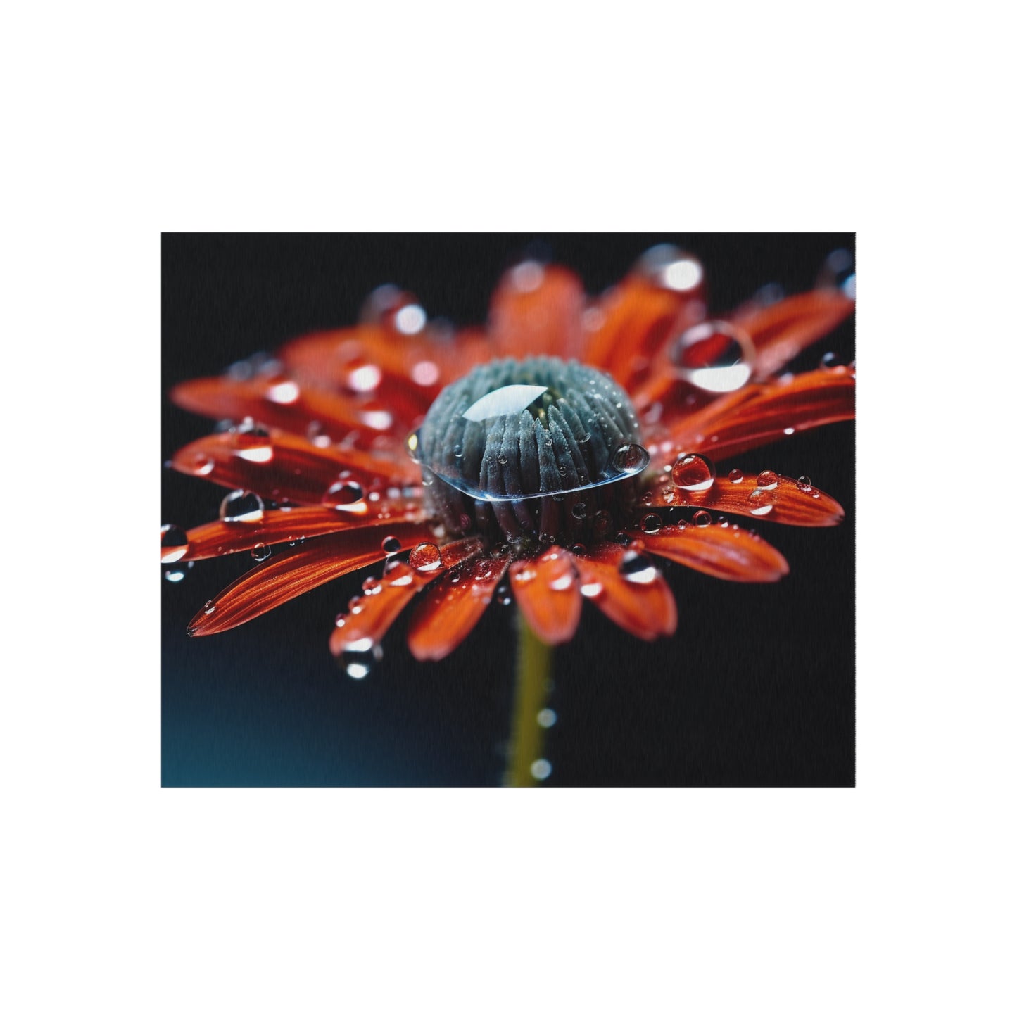 Outdoor Rug  Water drop Macro Flower 1