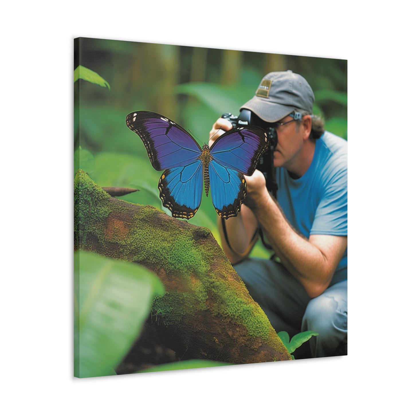 Canvas Gallery Wraps Jungle Butterfly 4