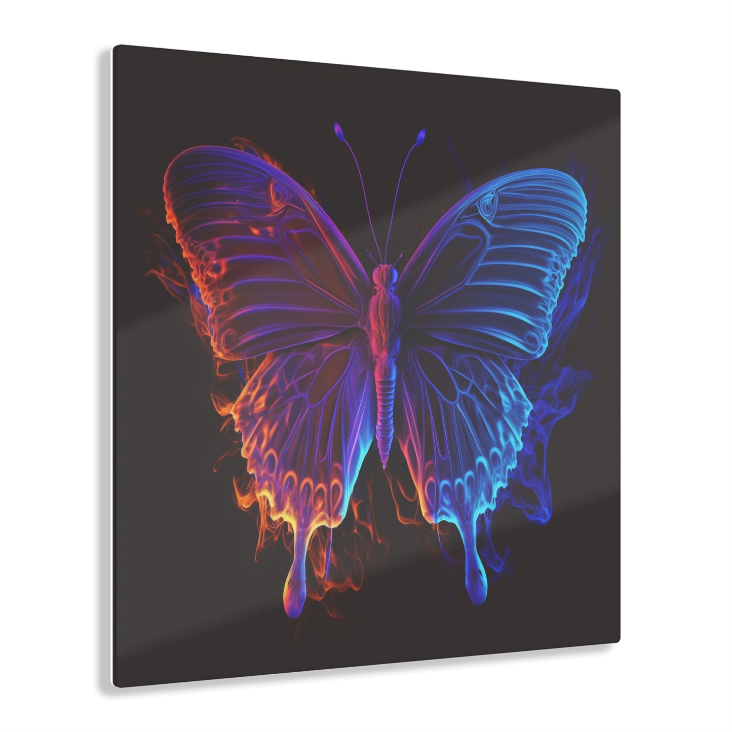 Acrylic Prints Thermal Butterfly 1