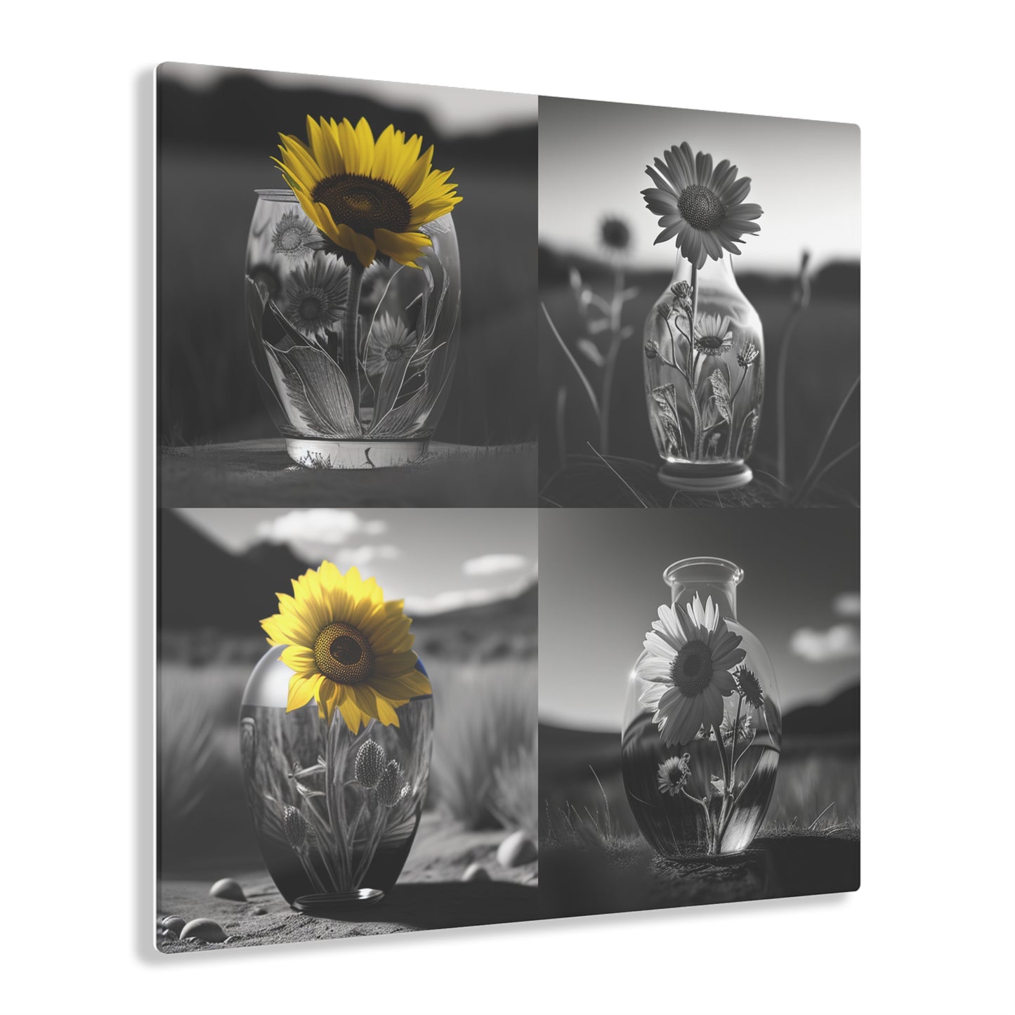 Acrylic Prints Yellw Sunflower in a vase 5