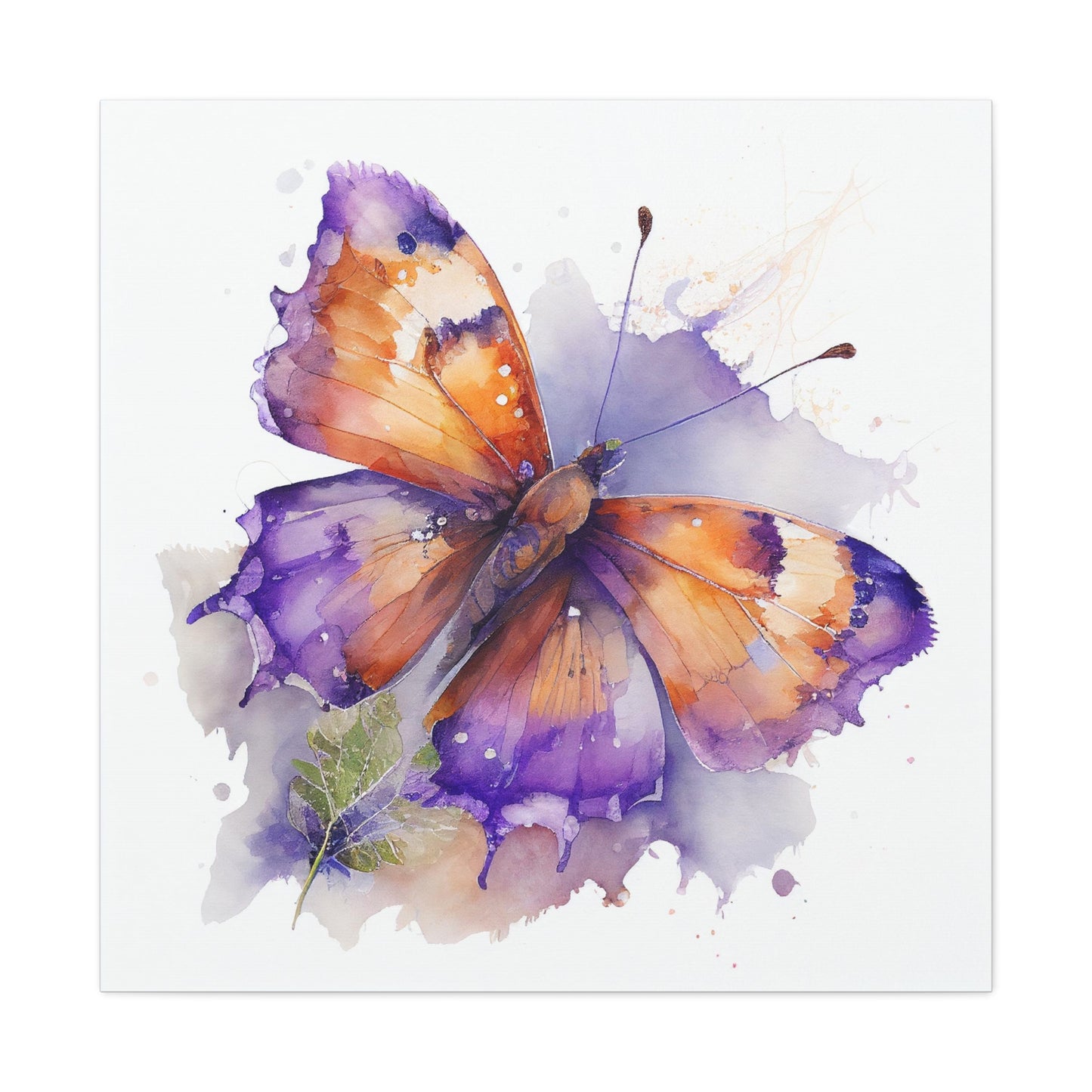 Canvas Gallery Wraps MerlinRose Watercolor Butterfly 2