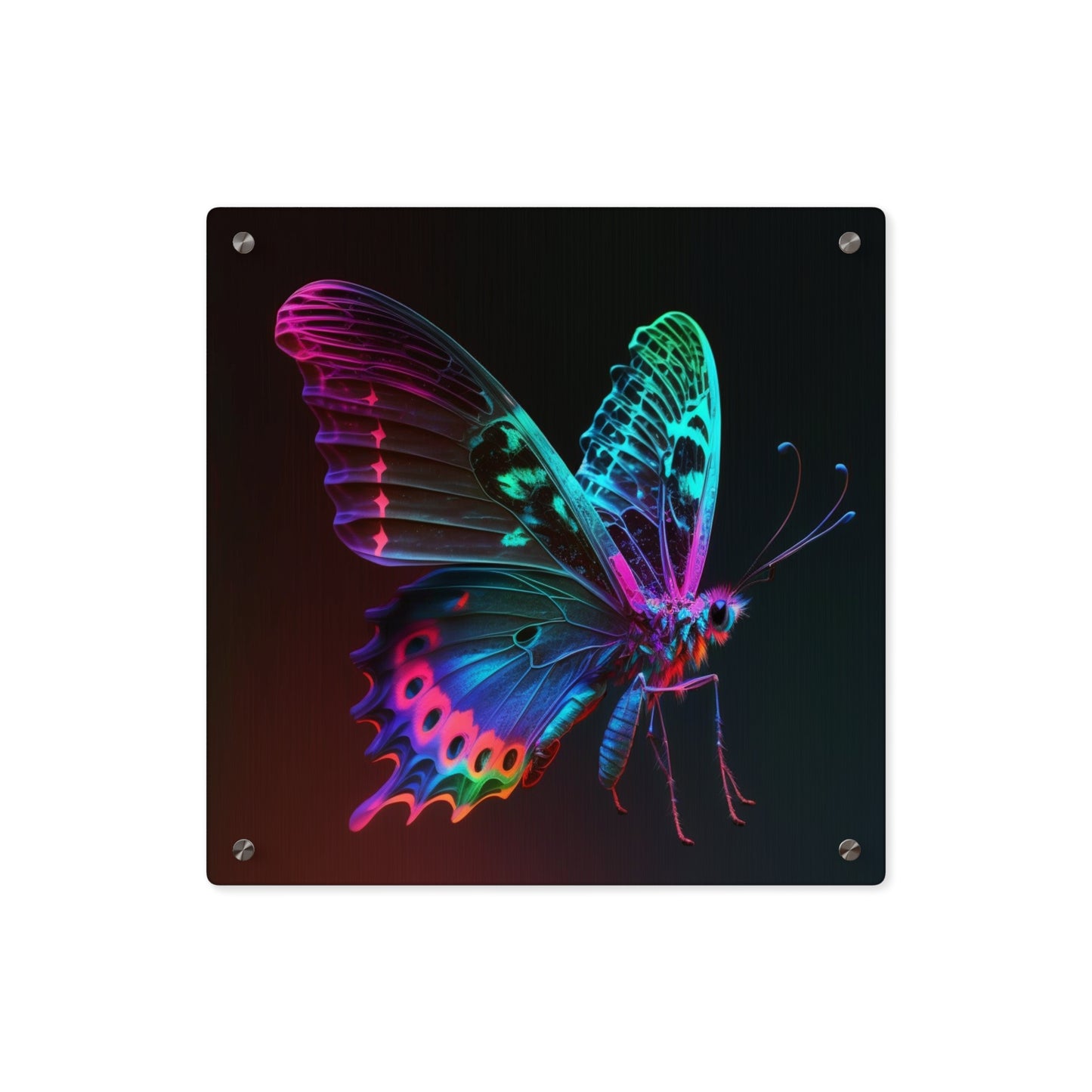 Acrylic Wall Art Panels Raw Hyper Color Butterfly 1